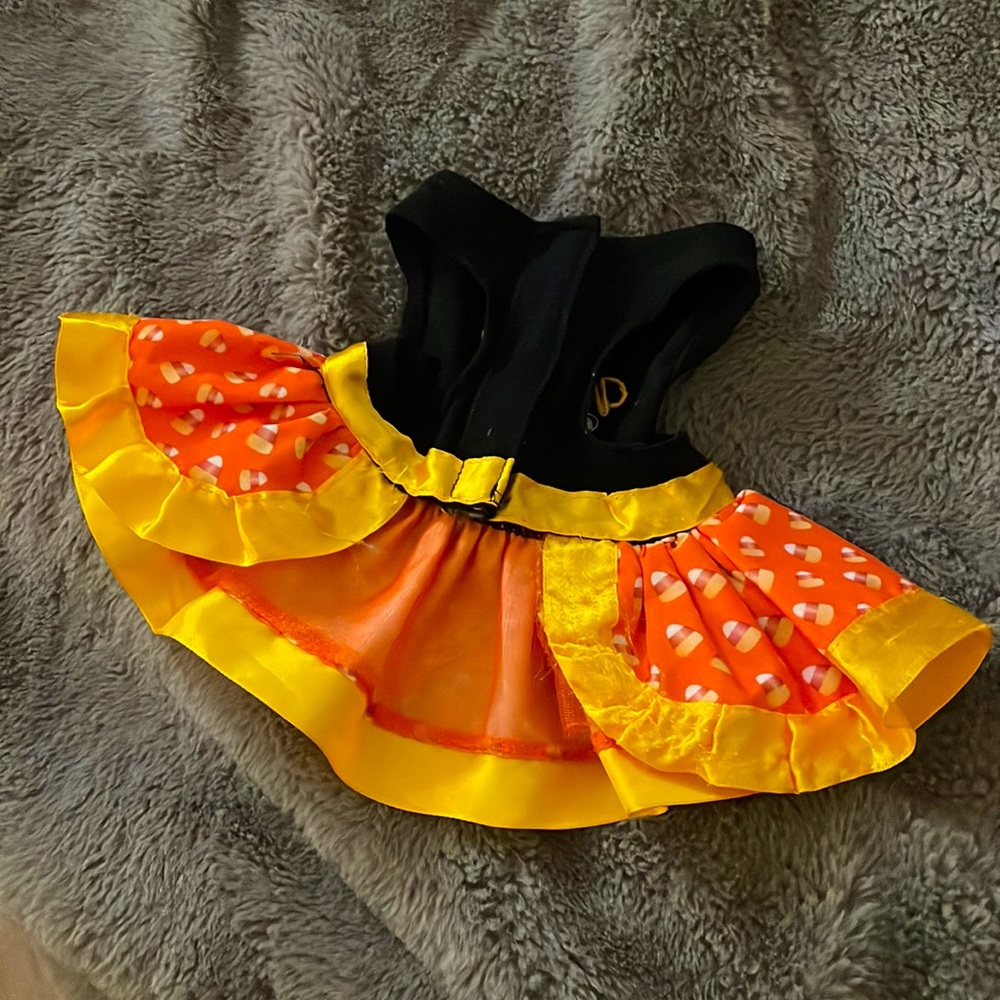 Candy corn halloween puppy dress - Picture 2 of 2